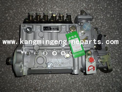 DCEC engine parts 3973900 pump, fuel injection 6CT8.3