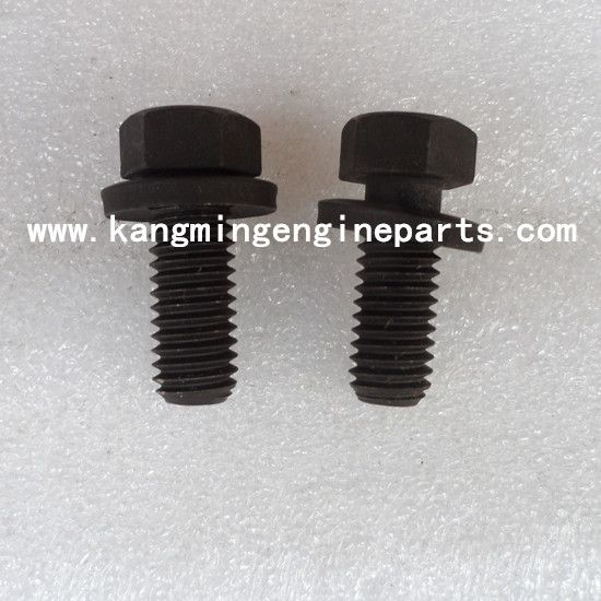 chongqin engine parts  nta855 screw captive washer cap 3015282