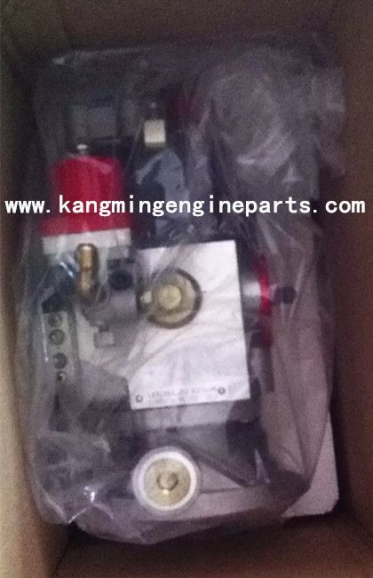 chongqing plant genuine fuel pump 3070123EG13 spare parts