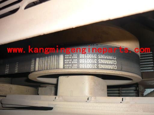 Original China engine parts 3100188 belt, v ribbed QSX15