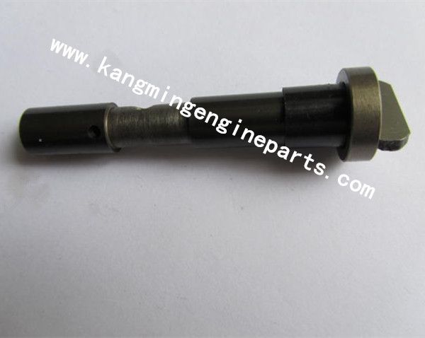 CCEC KTA38 engine spare parts 3010810 plunger, governor