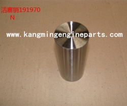 CCEC engine parts part 191970 pin, piston