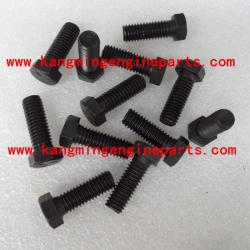 engine parts parts 103009 screw, hexagon head cap