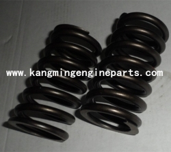 CCEC chongqing engine parts KTA38 part 3629007 spring, valve