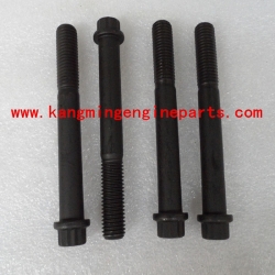 chongqing  diesel engine parts 205394 screw, twelve point cap