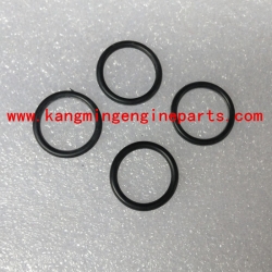 chongqing engine parts part 3046201 seal, o ring kta38 motor parts