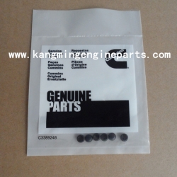 Genuine N14 engine parts part 203933 plug, expansion