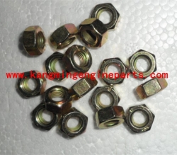 For China supplier 康斯 3165936 Nut Regular Hexagon