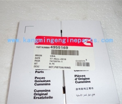 engine parts 4955251 4955169 piston rings ISDE genset part