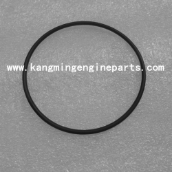 Engine parts 4991149  Seal, O Ring ISF2.8