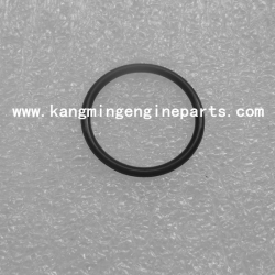 Heavy truck Engine parts ISF2.8 5265284 Seal o ring