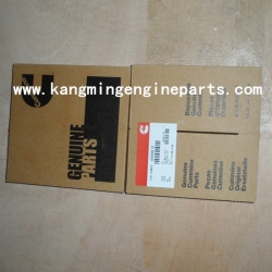 USA engine parts N14 SET PISTON RING 4089810