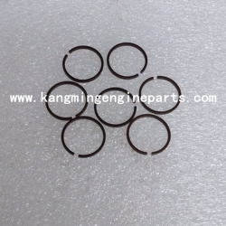 DCEC engin partss 6CT seal split ring 3521441