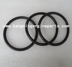 original engine parts K38 K50 seal o ring 3007512