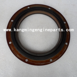 Engin eparts diesel engine oil seal QSKTA19 3096478