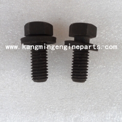 chongqingengineparts  nta855 screw captive washer cap 3015282