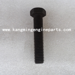 Engine parts N14 NT855 screw hexagon head cap 166777