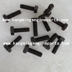 Engine parts K50 K38 K19 screw hexagon head cap 3070961