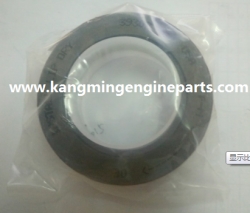engine parts n14 accessory oil seal 3004316