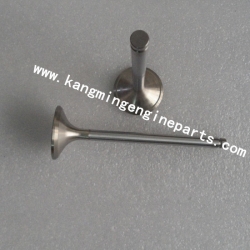 Dongfeng heavy vehicles parts 6CT8.3 valve exhaust 3902254