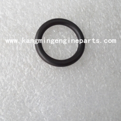 DCEC engine parts B series C series seal o ring 3029820