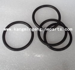 Original Dongfeng engine parts 6C 6B engine seal o ring 4062328