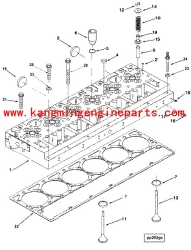 国产康明斯QSM11 L10发动机气门弹簧3895860