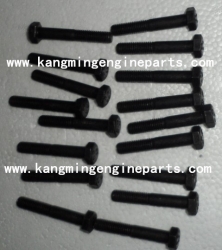 Chongqing truck engine parts KTA19 3165920 screw