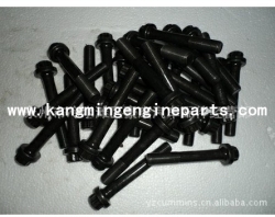 Chongqing engine parts 3032674 screw, captive washer cap N14