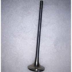 USA N14 NTA855 Engine parts 3800891 3166410 exhaust valve