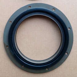 USA qsk19 kta19 diesel engine parts 4922217 4089902 Oil Seal