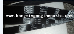 Beijing foton engine parts 3031485 belt, v ribbed