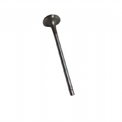 High quality 2881813 qsk60 qsk19 diesel engine exhaust valve for generator parts