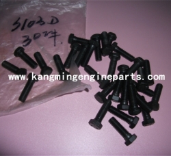 CCEC diesel engine parts S103D screw hexagon head cap