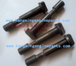 chongqing engine parts repair parts AR40230 plunger, governor