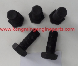 chongqing engine parts 138042 screw, hexagon head cap