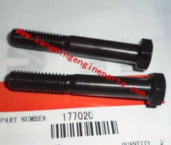 Chongqing engine parts 177020 screw, hexagon head cap