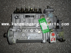 Engine parts 3973900 pump, fuel injection 6CT8.3